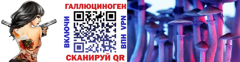 Псилоцибиновые грибы Psilocybine cubensis  Камешково 